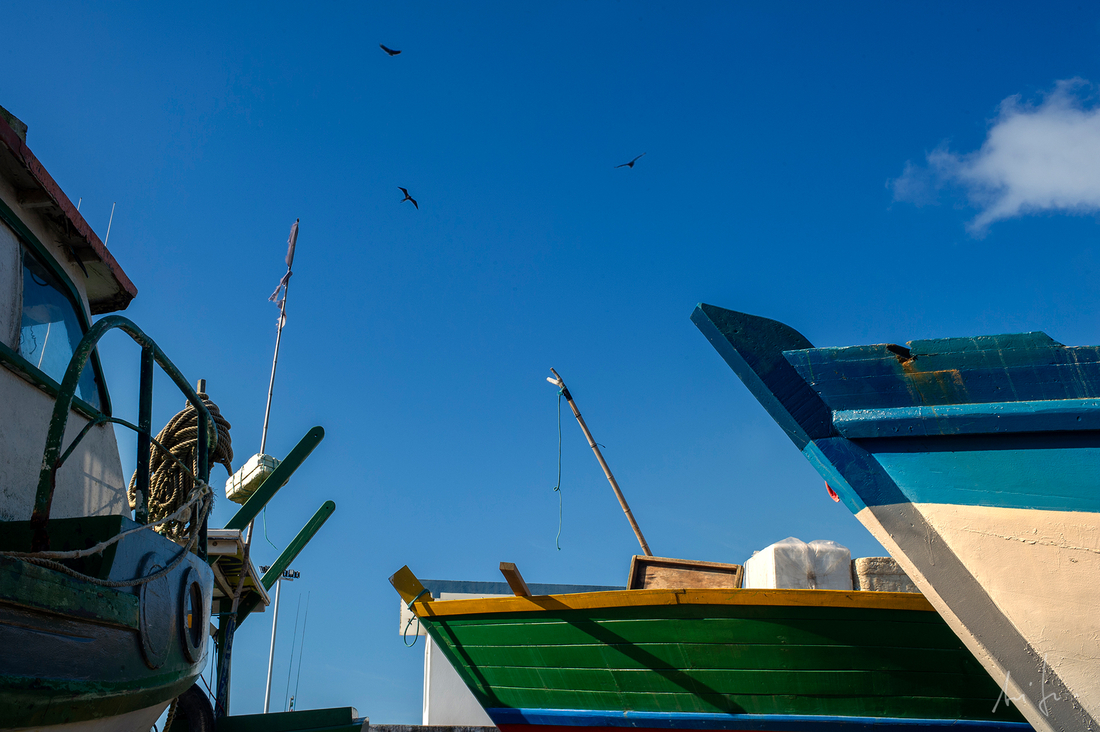 Pra quem tem fé a pesca nunca tem fim - Andre Sheffer | Arte e Fotografia 
