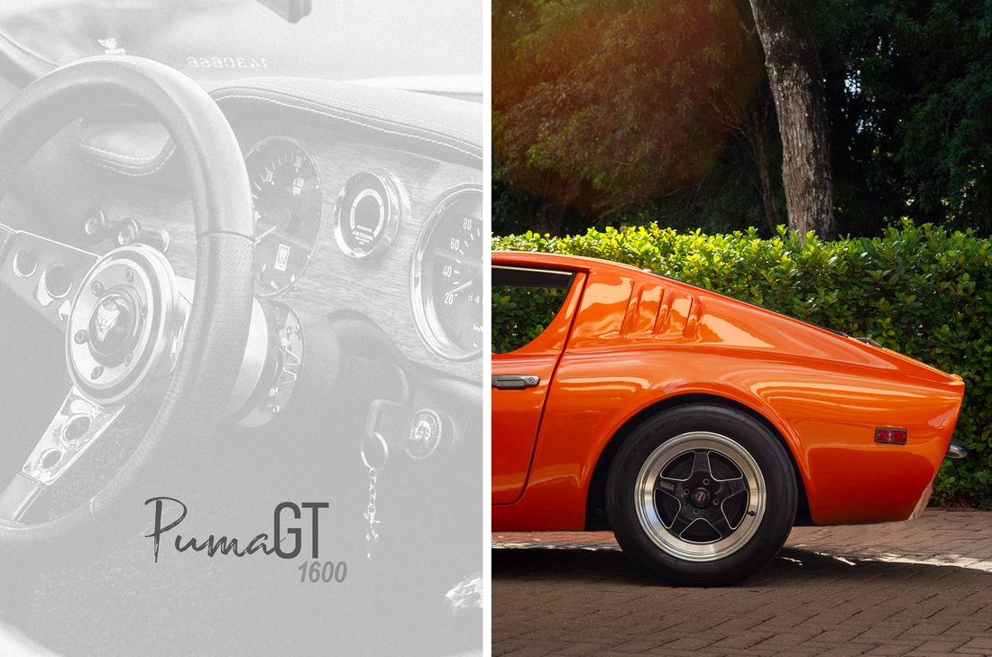 PUMA GT  - Andre Sheffer | Arte e Fotografia 